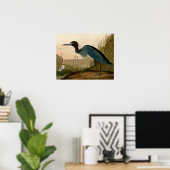 Blauwe Kraanvogel Reiger Audubon Schilderij Poster (Thuiskantoor)