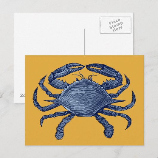 Blauwe krab briefkaart (Voorkant / Achterkant)
