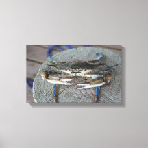Blauwe krab Chesapeake Bay Canvas Art