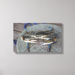 Blauwe krab Chesapeake Bay Canvas Art Afdruk