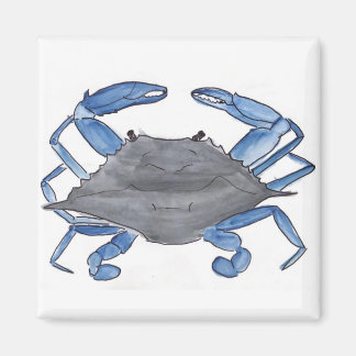 Blauwe krab magneet