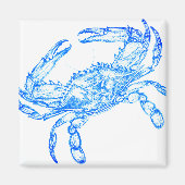  blauwe krab magneet (Voorkant)