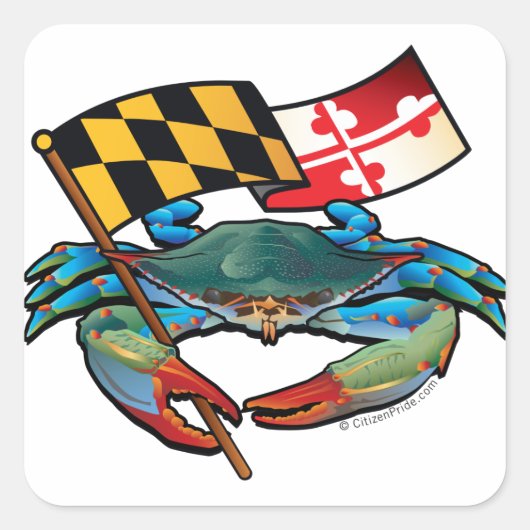Blauwe krab Maryland Vierkante Sticker (Voorkant)