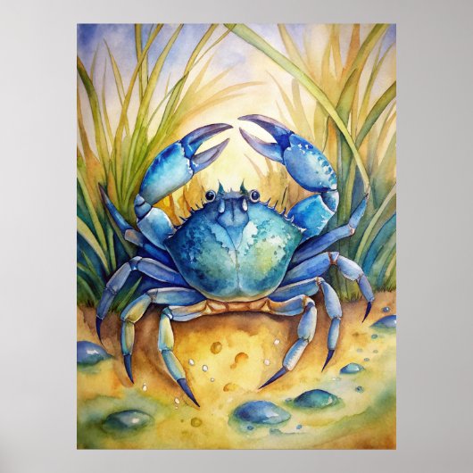 Blauwe krab op het strand poster (Voorkant)