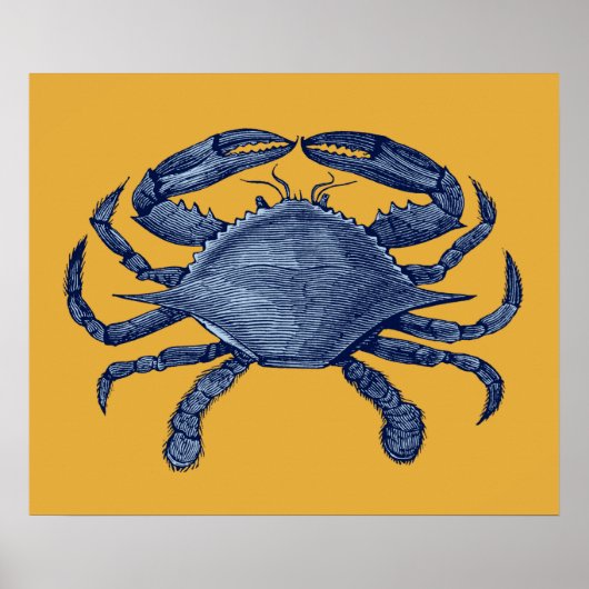 Blauwe krab poster (Voorkant)