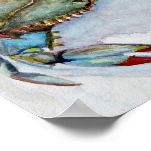 Blauwe krab poster (Hoek)