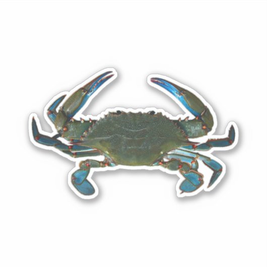 Blauwe krab sticker (Voorkant)