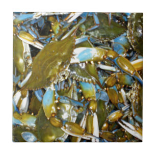 blauwe krab tegeltje