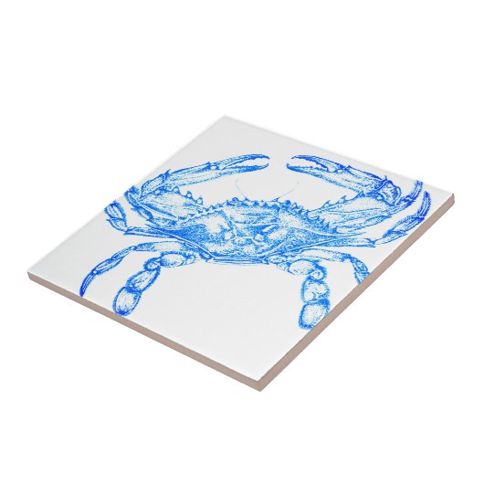  blauwe krab tegeltje (Zijkant)