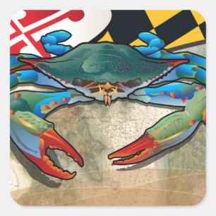 Blauwe krab van Maryland Vierkante Sticker