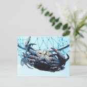 Blauwe krab vangen briefkaart (Staand voorkant)