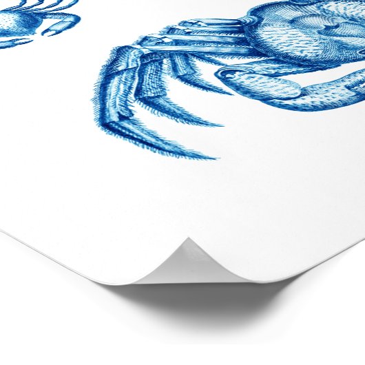 Blauwe krabben Antiek zeewier Schaaldieren Afdrukk Poster (Hoek)