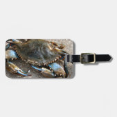 Blauwe krabben bagagelabel (Voorkant horizontaal)