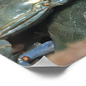 Blauwe krabben - Het leven in het goede leven in N Poster (Hoek)