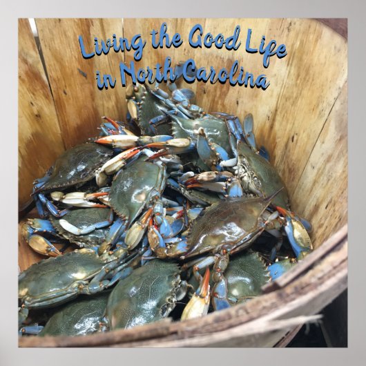 Blauwe krabben - Het leven in het goede leven in N Poster (Voorkant)
