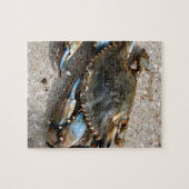 Blauwe krabben legpuzzel (Horizontaal)