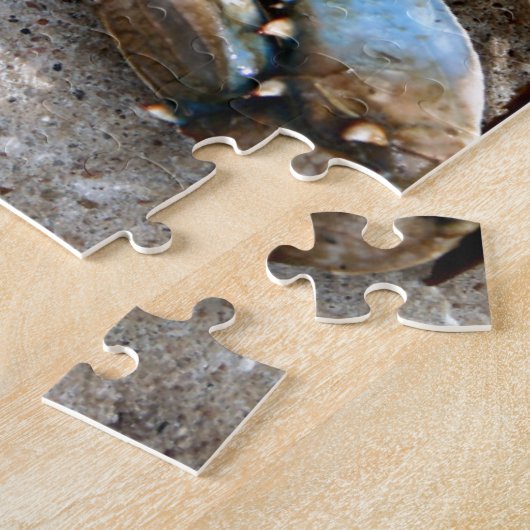 Blauwe krabben legpuzzel (Zijkant)