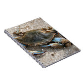 Blauwe krabben notitieboek (Rechterzijde)