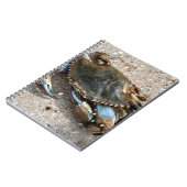 Blauwe krabben notitieboek (Linkerzijde)