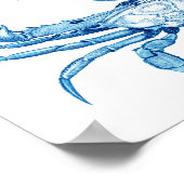 blauwe krabben Poster nr. 5 strand decor (Hoek)