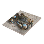Blauwe krabben tegeltje (Zijkant)
