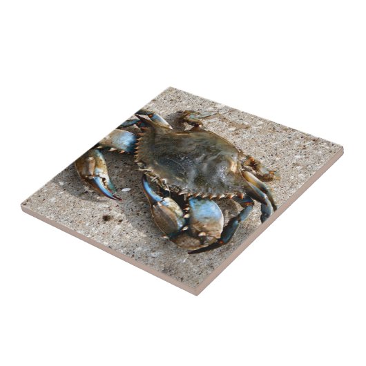 Blauwe krabben tegeltje (Zijkant)