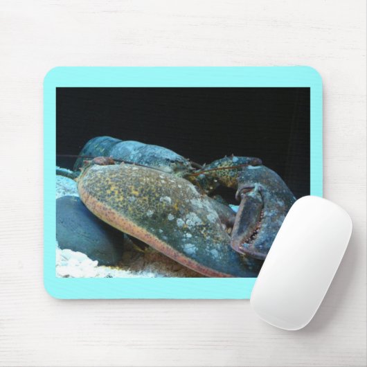 blauwe kreeft muismat (Met muis)