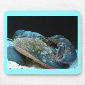 blauwe kreeft muismat