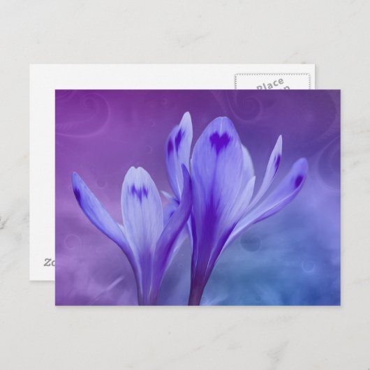 blauwe krokodil briefkaart (Voorkant / Achterkant)