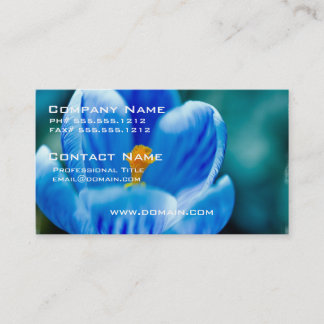 Blauwe kroonVisitekaartjes Visitekaartje