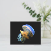 Blauwe kwal briefkaart (Staand voorkant)