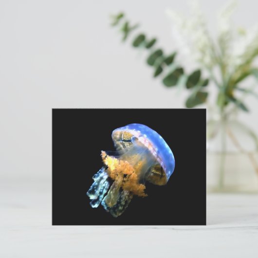 Blauwe kwal briefkaart (Staand voorkant)