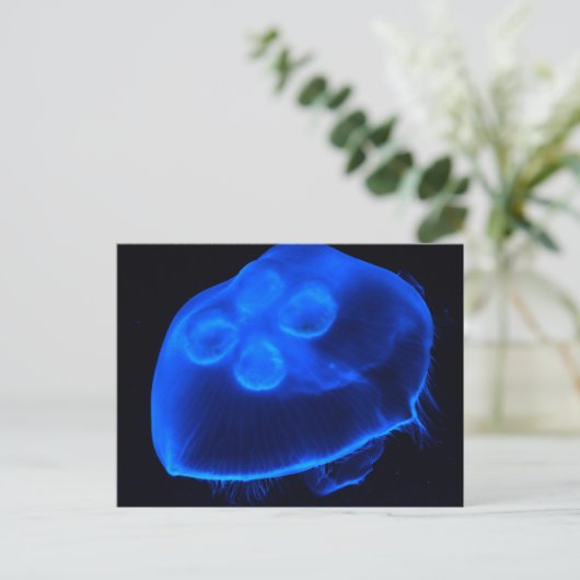 Blauwe kwal briefkaart (Staand voorkant)