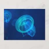 Blauwe kwal briefkaart (Voorkant)