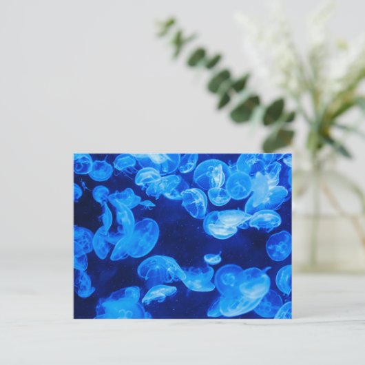Blauwe kwal onder water briefkaart (Staand voorkant)
