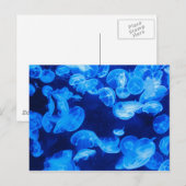 Blauwe kwal onder water briefkaart (Voorkant / Achterkant)