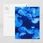 Blauwe kwal onder water briefkaart (Voorkant / Achterkant)