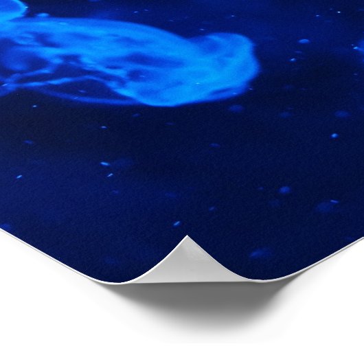 Blauwe kwal onder water poster (Hoek)