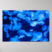 Blauwe kwal onder water poster (Voorkant)