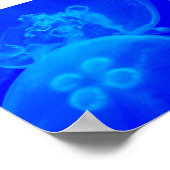 Blauwe kwal poster (Hoek)