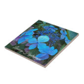Blauwe Lacecap Hortensia Bloem Tegeltje (Zijkant)