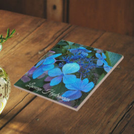 Blauwe Lacecap Hortensia Bloem Tegeltje