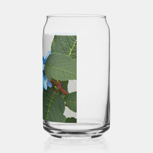 Blauwe Lacecap Hydrangea Bloom Floral Blikvorm Glas (Links)