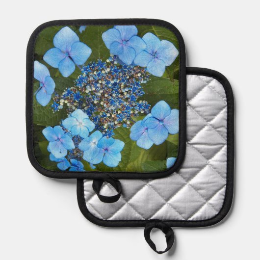 Blauwe Lacecap Hydrangea Bloom Floral Pannenlap (Voorkant / Achterkant)