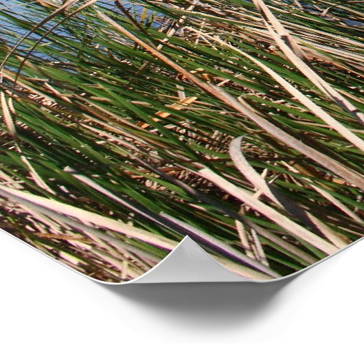 "Blauwe lagune" Poster (Hoek)