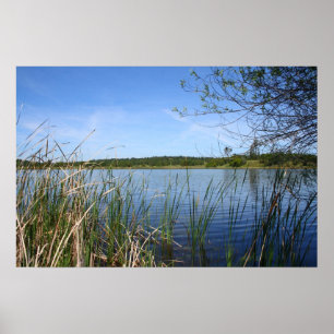 "Blauwe lagune" Poster