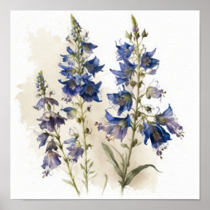 Blauwe Larkspur Bloemenkunst Print Poster