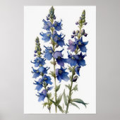 Blauwe Larkspur Bloemenkunst Print Poster (Voorkant)