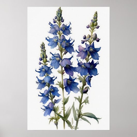 Blauwe Larkspur Bloemenkunst Print Poster (Voorkant)