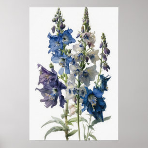 Blauwe Larkspur Bloemenkunst Print Poster